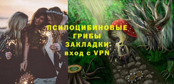 дмт Армянск