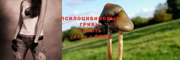 бутират Аркадак